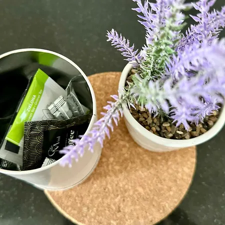 K22 In Slawinska 505 Lejlighed Warszawa